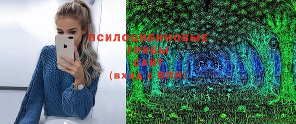 ПСИЛОЦИБИНОВЫЕ ГРИБЫ Верхнеуральск