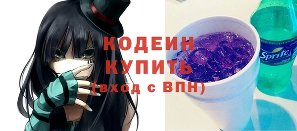 амф Бородино