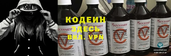 амф Бородино