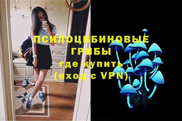 мет Верхний Тагил